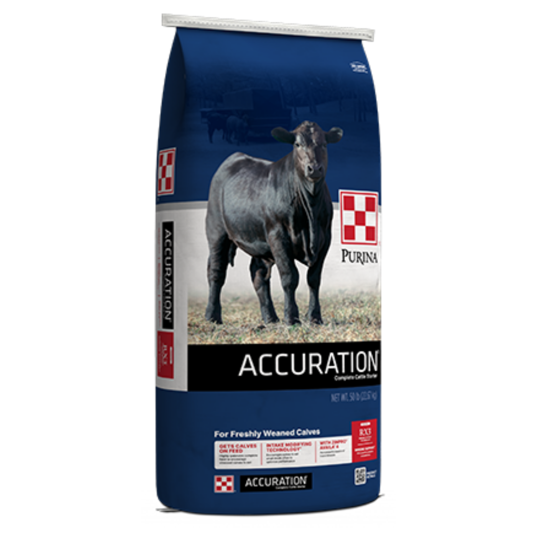 Purina Accuration Cattle Starter. Blue 50-lb feed bag with black cow.