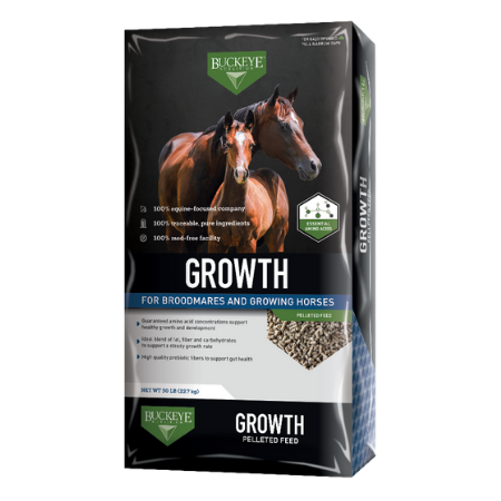 Buckey Growth Brood Mare