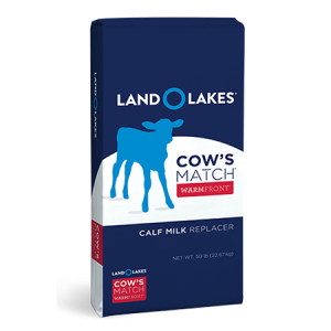 Land O Lakes Cows Match