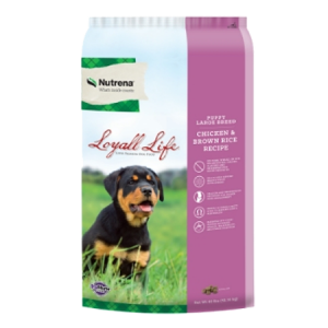 Nutrena Loyall Life Puppy Large Breed Dog