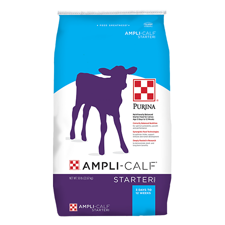 Purina Ampli-Calf Starter 20. Blue and purple feed bag.