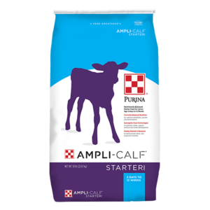 Purina Dairy Cattle Feed Ampli-Calf Starter