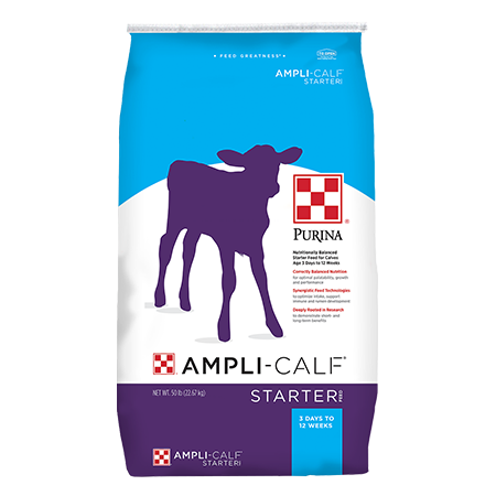 Purina Ampli-Calf Starter 22. Blue and purple feed bag.