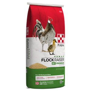 Purina Flock Raiser Crumbles 50-lb