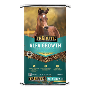 Tribute Alfa Growth Horse Feed 50-lb