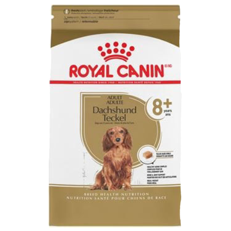 Dachshund 8+ Adult Dry Dog Food