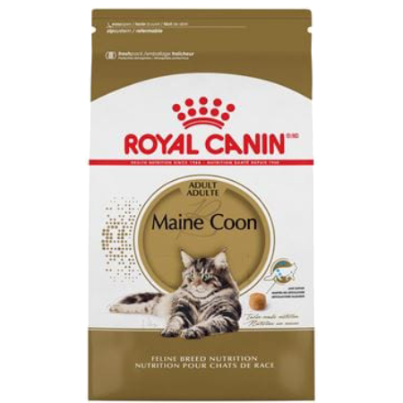 Royal Canin Maine Coon Adult Dry Cat Food