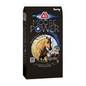 Thomas Moore Power 12-8 Pellet