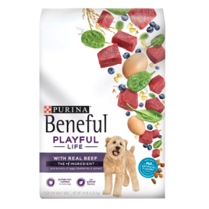 Beneful Playful Life Beef Dry Dog Food