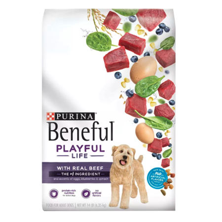 Beneful Playful Life Beef Dry Dog Food