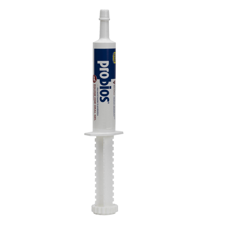 Probios Equine One Oral Gel Probiotic Digestive Horse Supplement