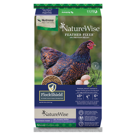 NatureWise Feather Fixer 18% Poultry Feed. Poultry feed bag, 40-lb. Dark red hen.