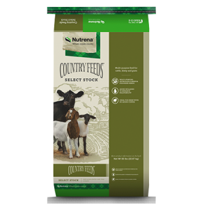 Nutrena Country Feeds Select Stock