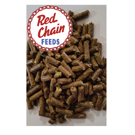 Red Chain 14% Developer Pellet