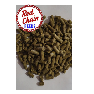 Red Chain 14% Hi-Fat Horse Pellet