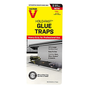 Victor Hold-Fast Disposable Rat Glue Traps