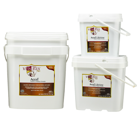 Vita Flex Accell Health & Wellness Pellets