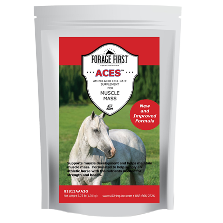 ADM Aces Equine Supplement