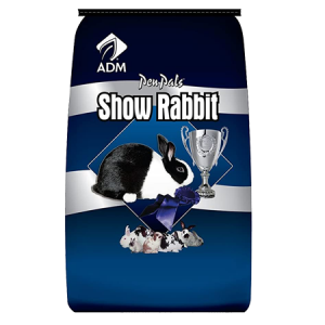 ADM Pen Pals Show Rabbit