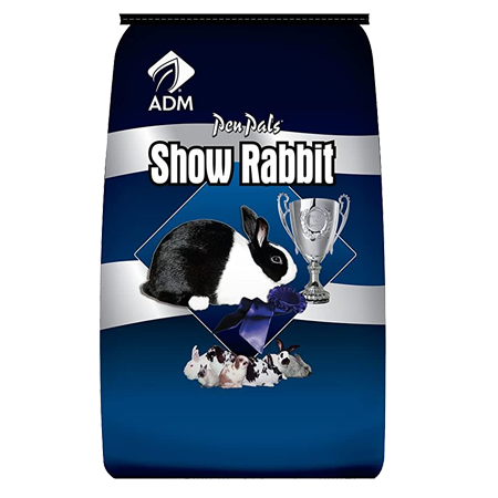 ADM Pen Pals Show Rabbit