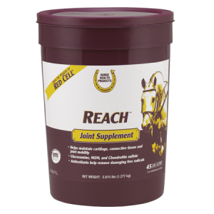 Horse Health Reach Joint Supplement