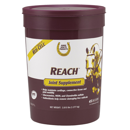 Horse Health Reach Joint Supplement