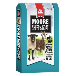 Moore Sheep & goat Feed