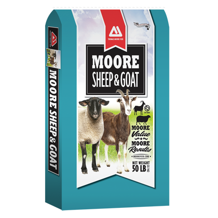 Moore Sheep & goat Feed