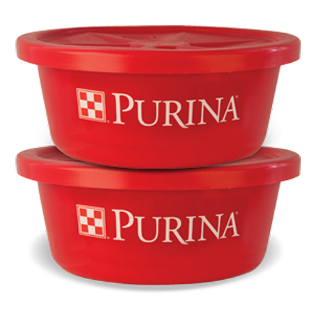 Purina 30% Protein Cattle Tub