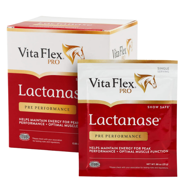 Vita Flex Lactanase Horse Supplement