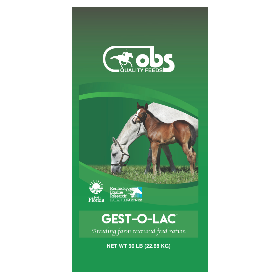 OBS Gest O Lac 50-lb