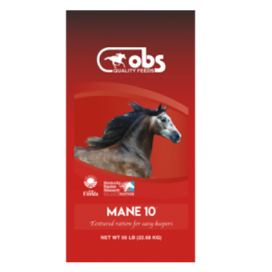 OBS Mane 10 Horse Feed