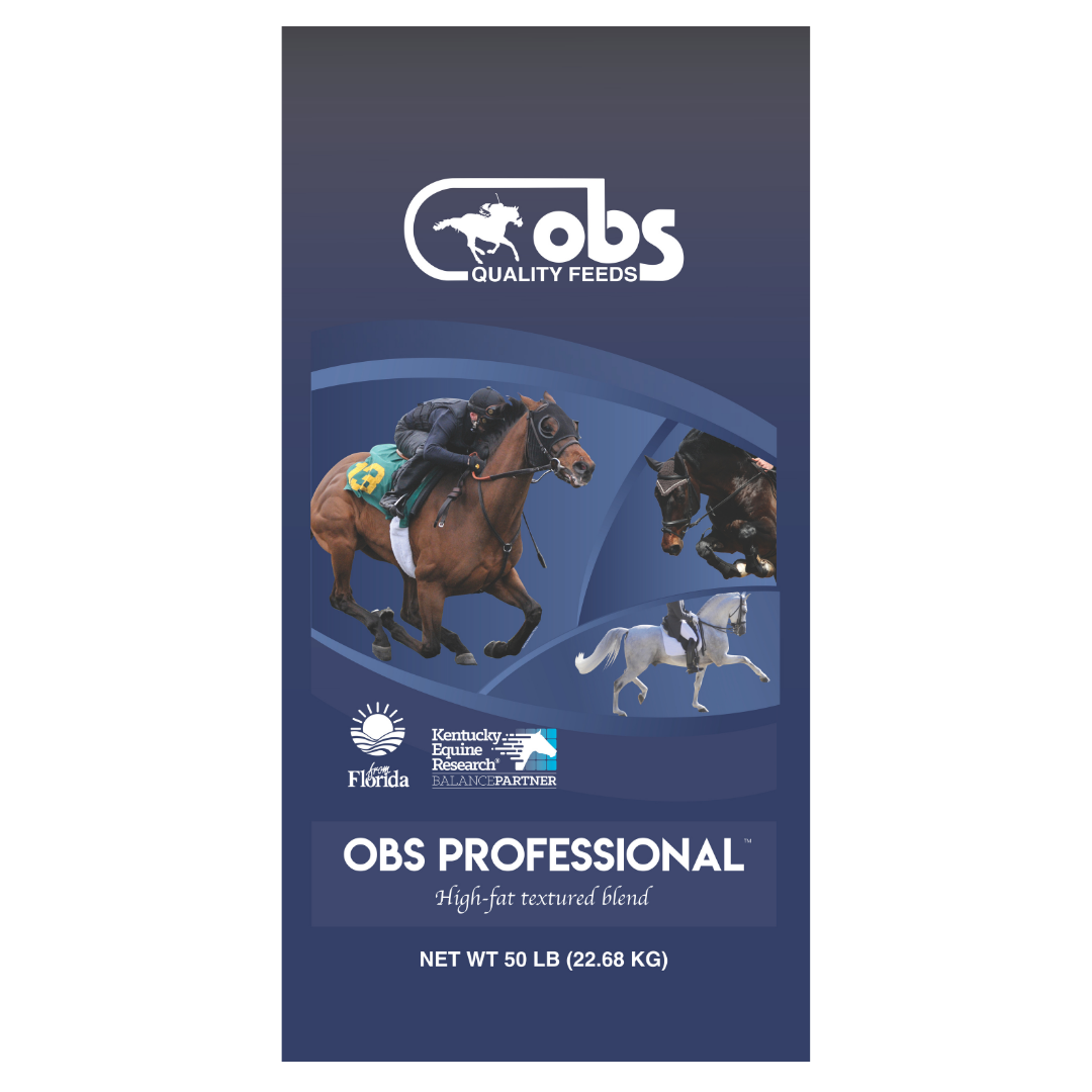 OBS Professional 50-lb