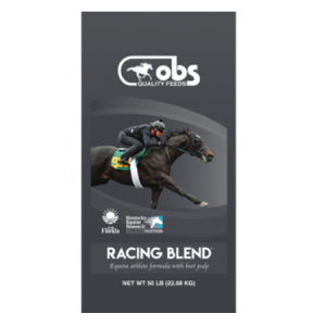 BS Racing Blend Horse Feed