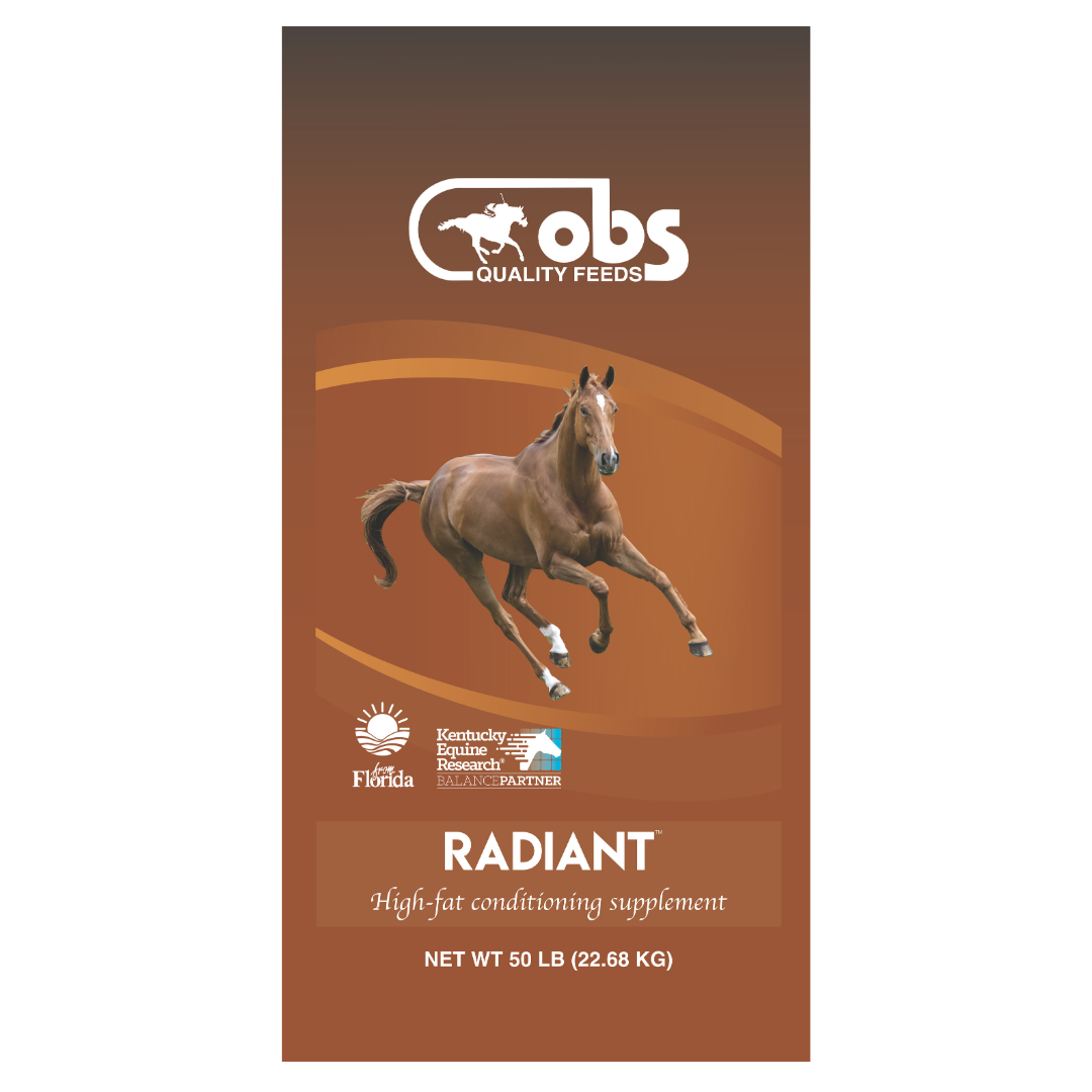 OBS Radiant Supplement 50-lb