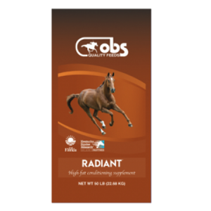 OBS Radiant Horse Supplement