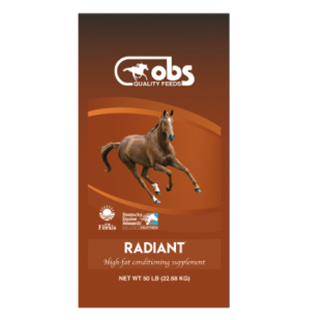 OBS Radiant Horse Supplement