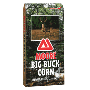 Thomas Moore Big Buck Corn