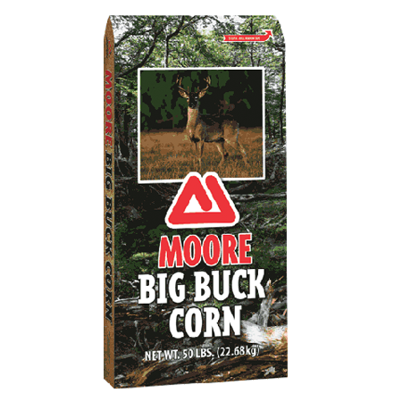 Thomas Moore Big Buck Corn