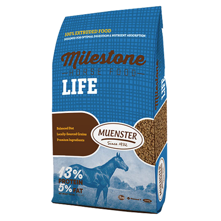 Milestone Life Horse Food