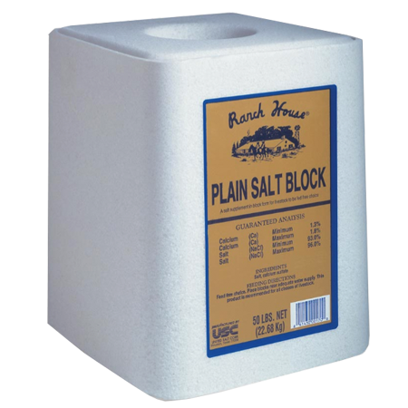 Ranch House Plain Salt Block