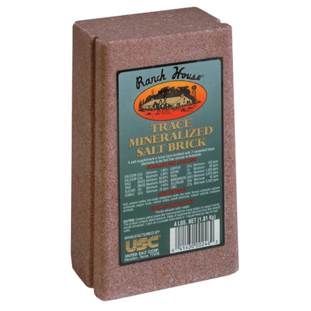 Ranch House Mineralized Salt Brick