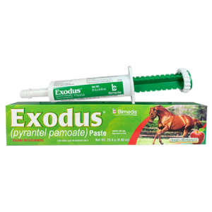 Exodus Paste