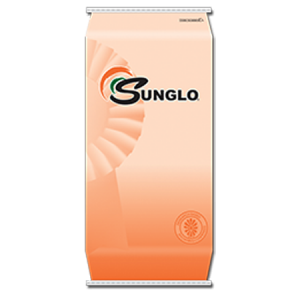Sunglo Sow Base