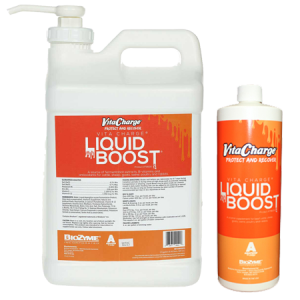 Vita Charge Liquid Boost