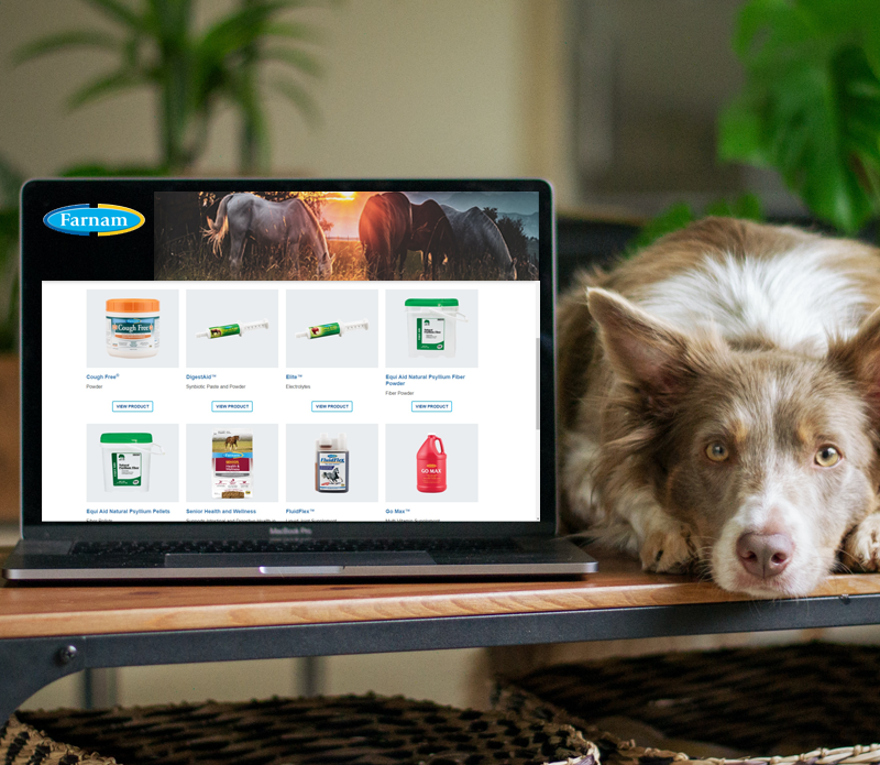Farnam Online store example, with farm dog next to laptop.