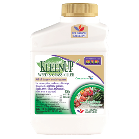 Botanical KleenUP Conc 16-oz