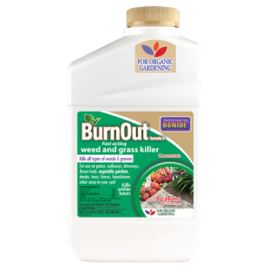 BurnOut Formula II Concentrate 32-oz