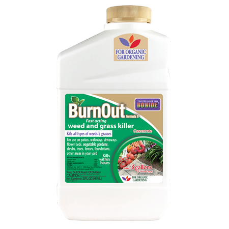 BurnOut Formula II Concentrate 32-oz