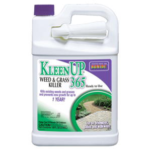 KleenUp® 365 RTU 1-gal